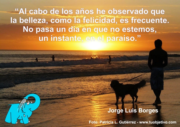 Una Enseñanza de Jorge Luis Borges sobre el Paraiso en la Frase del Día